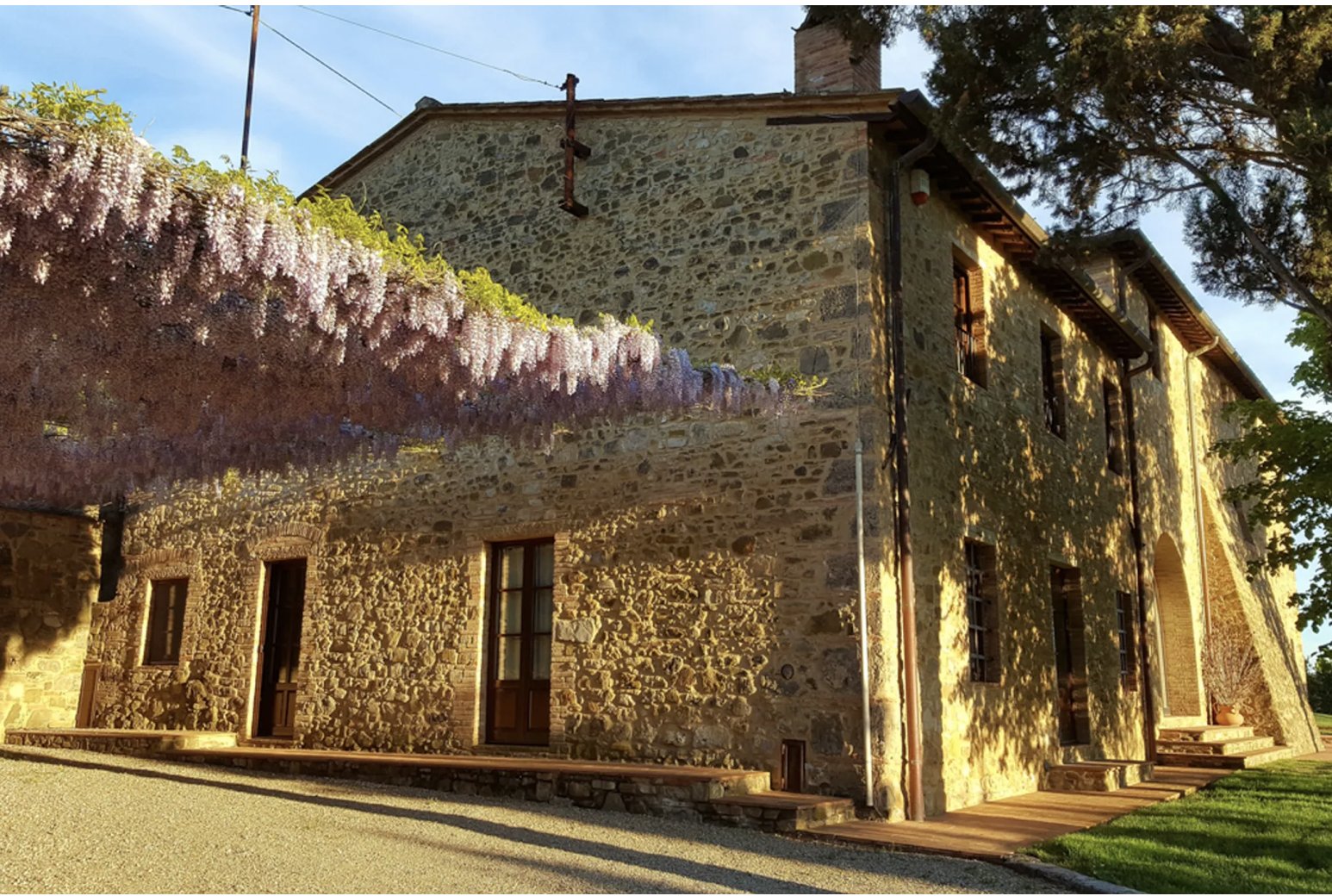 Villa Cecconi, wisteria over stone
